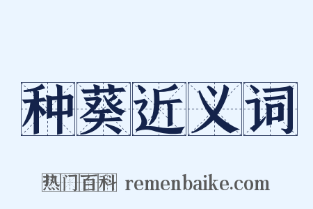 种葵近义词是什么意思的图片